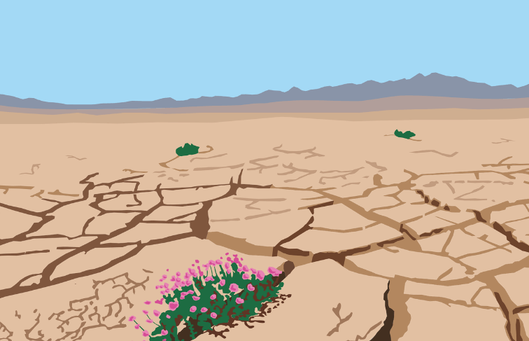 몬트리올 의정서 채택 오존층 협약