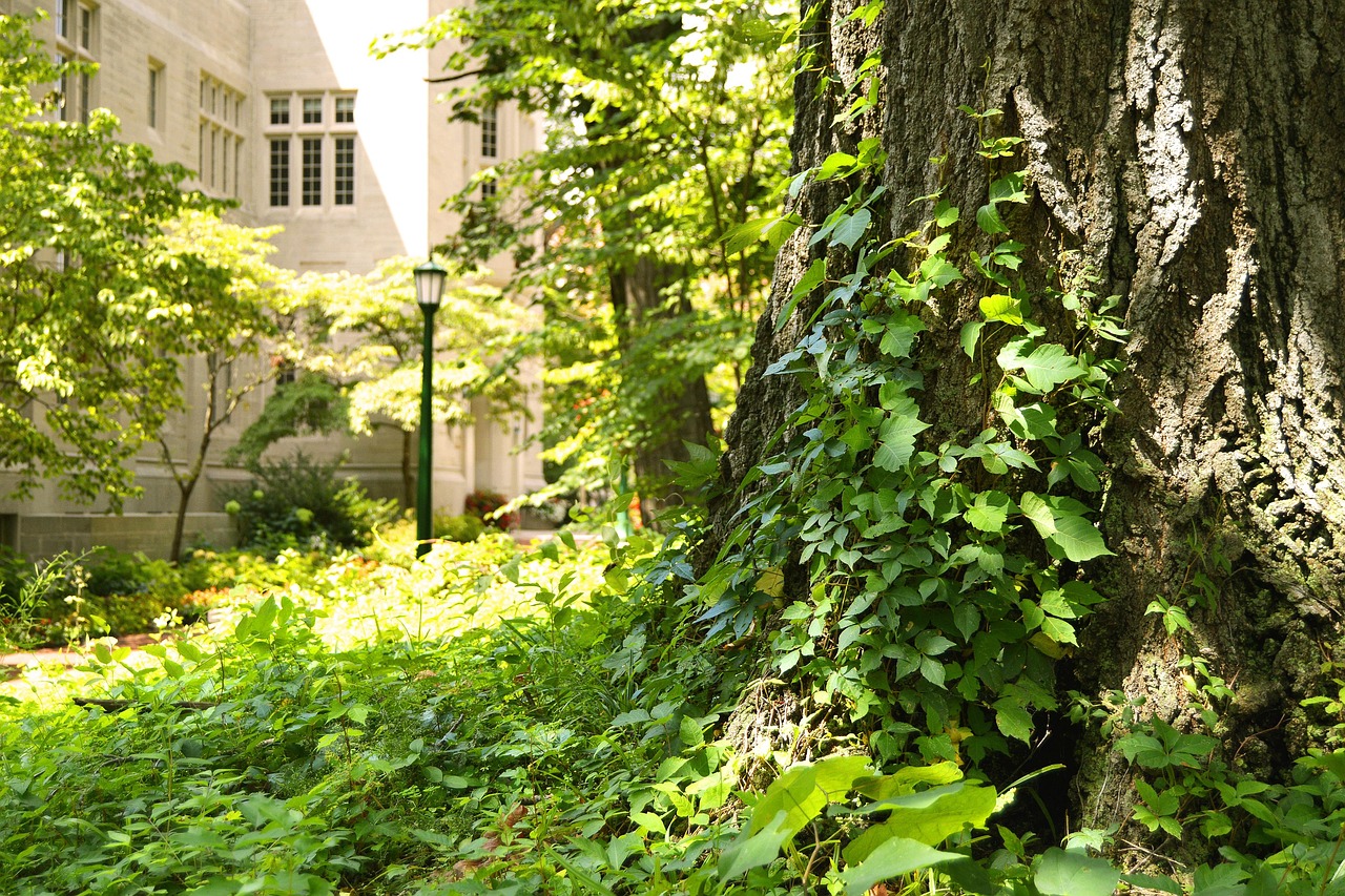 애드센스-합격방법