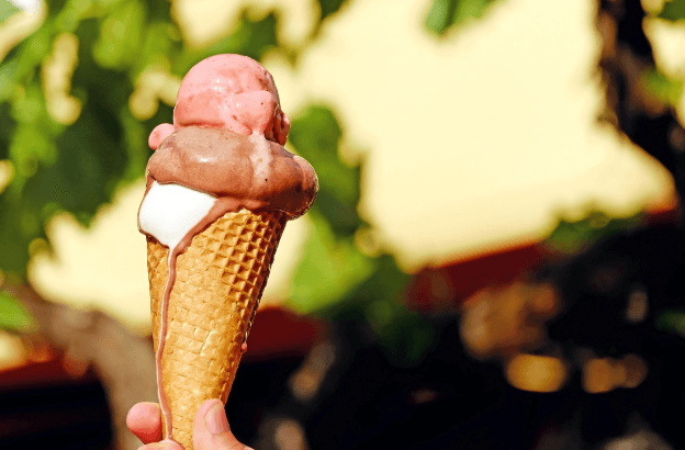 베라31 사전예약