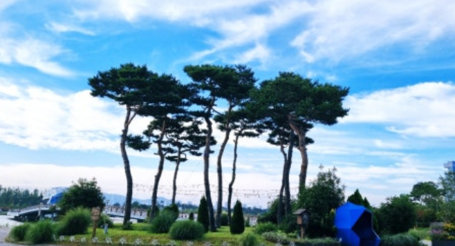 세종 호수공원