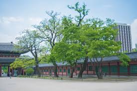창덕궁 달빛기행