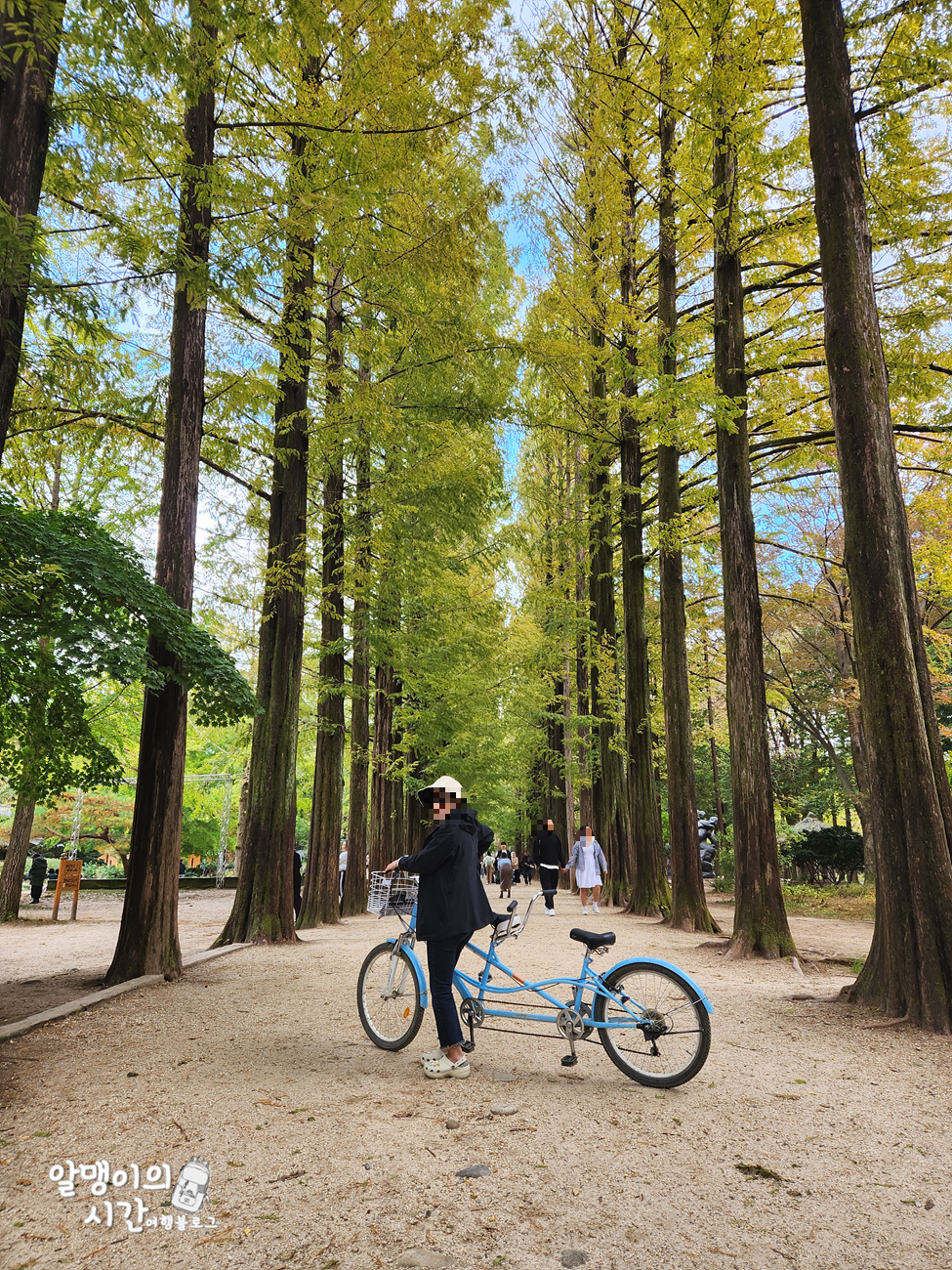 #27 엄마랑 춘천 남이섬 모녀 백패킹 _캠핑 초보자 박지 추천 - undefined - 남이섬 액티비티 #27 엄마랑 춘천 남이섬 모녀 백패킹 _캠핑 초보자 박지 추천 - undefined - 남이섬 액티비티