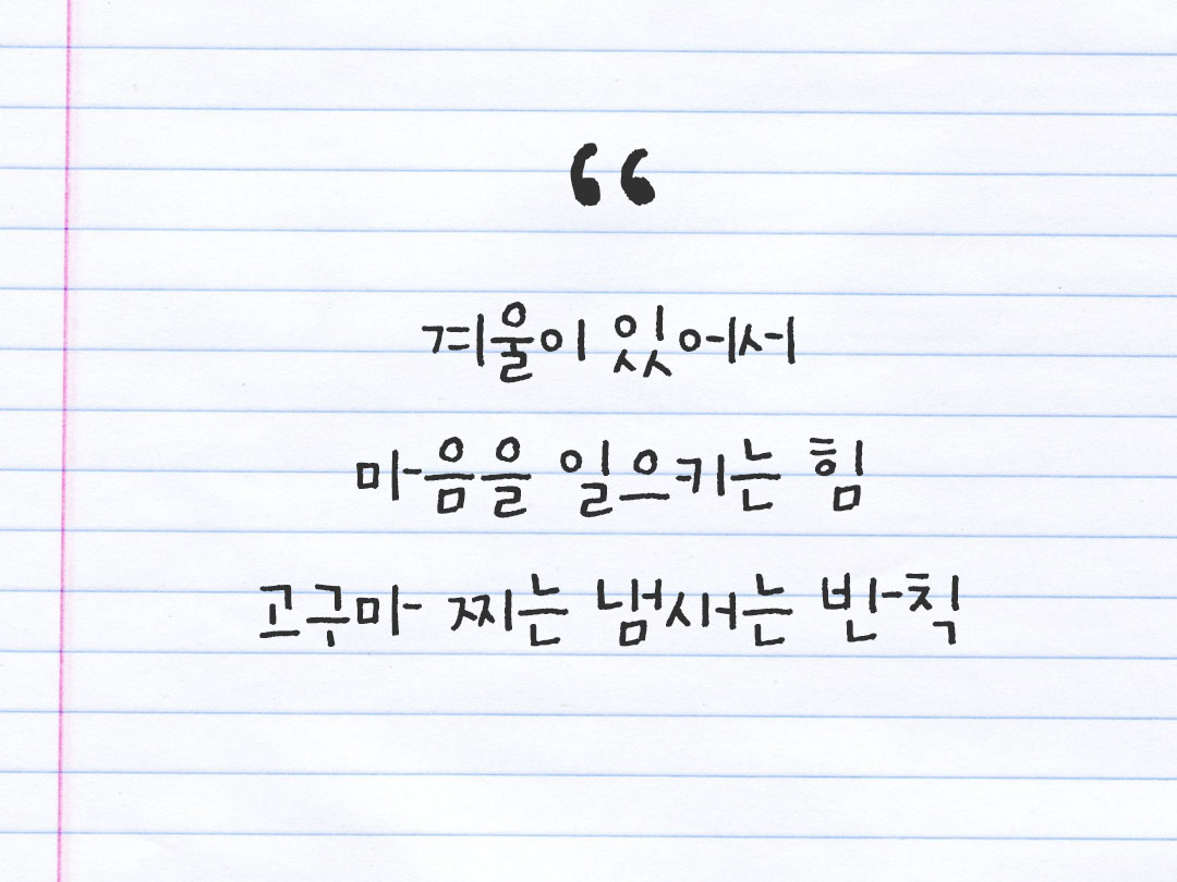 2026년 1월 27일 피어나네 감사노트|일상을 행복으로 바꾸는 기록 하루 3줄 감사일기