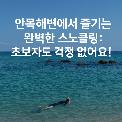 안목해변에서 즐기는 완벽한 스노클링