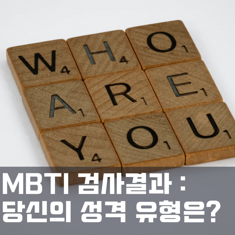 MBTI 검사유형