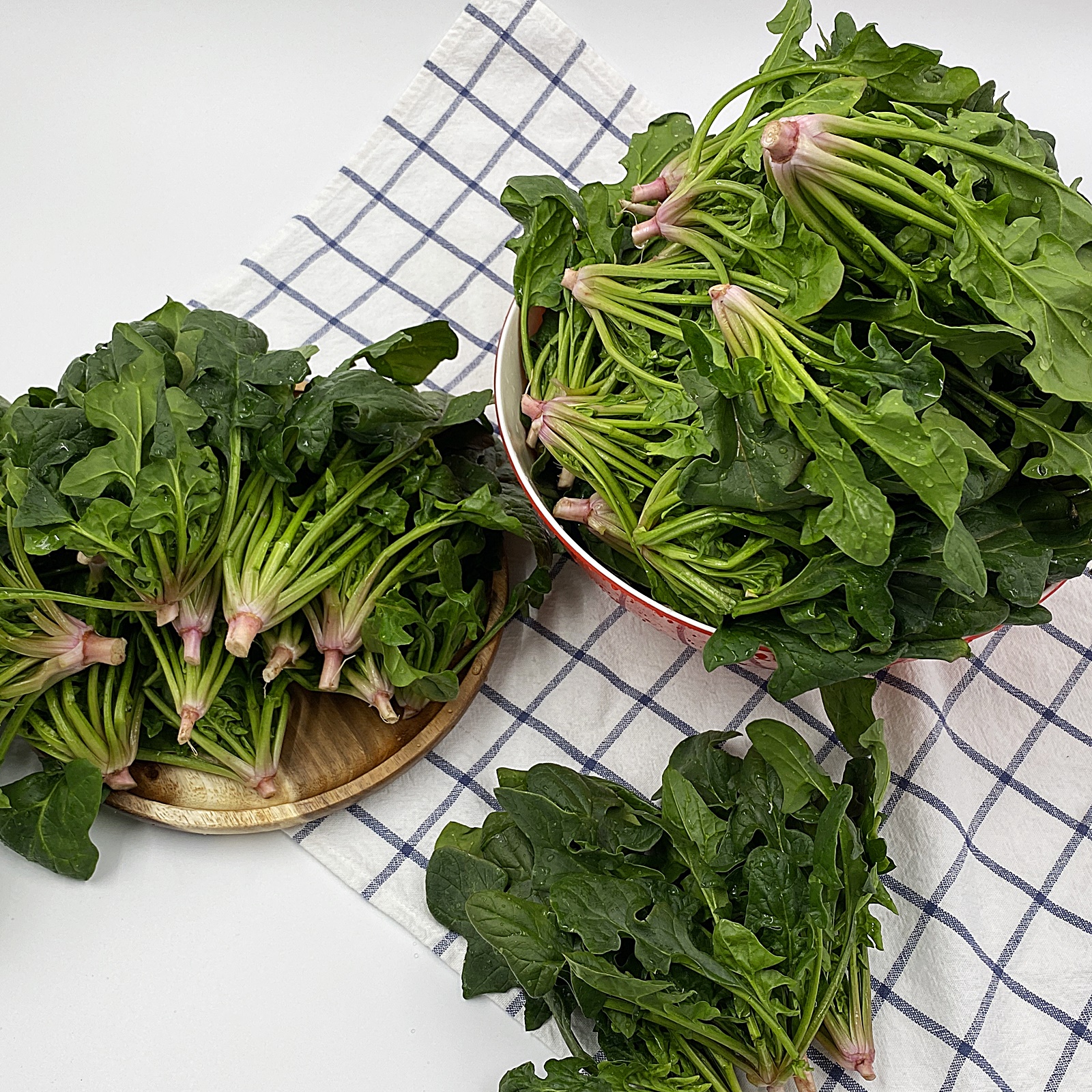 씻은 남해 시금치