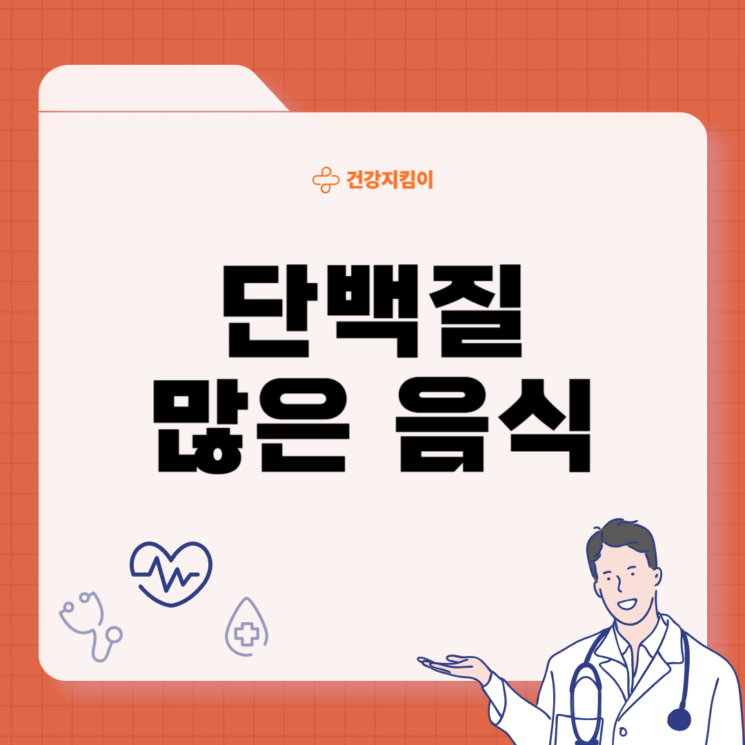 단백질 많은 음식 식물성 동물성