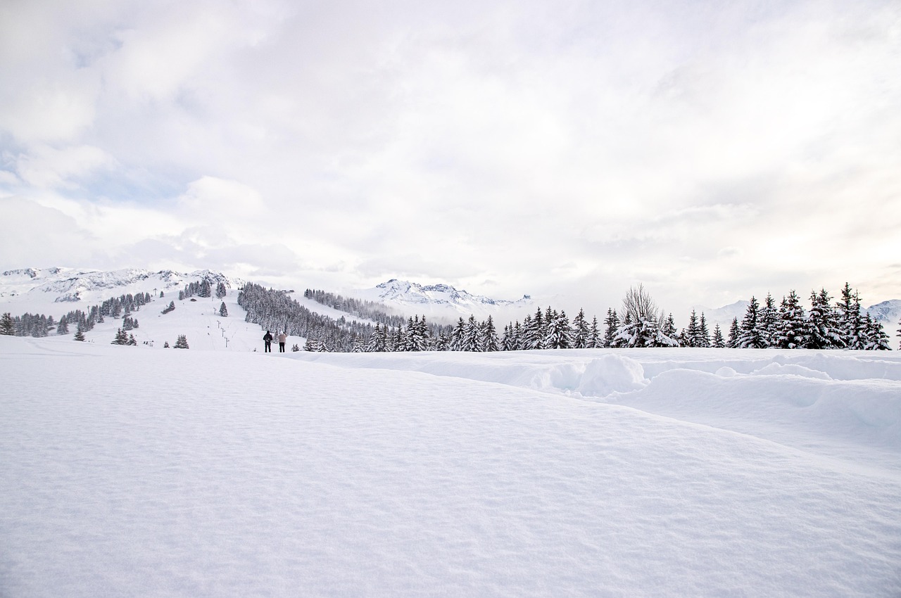 눈으로 뒤덮힌 풍경 관련사진
