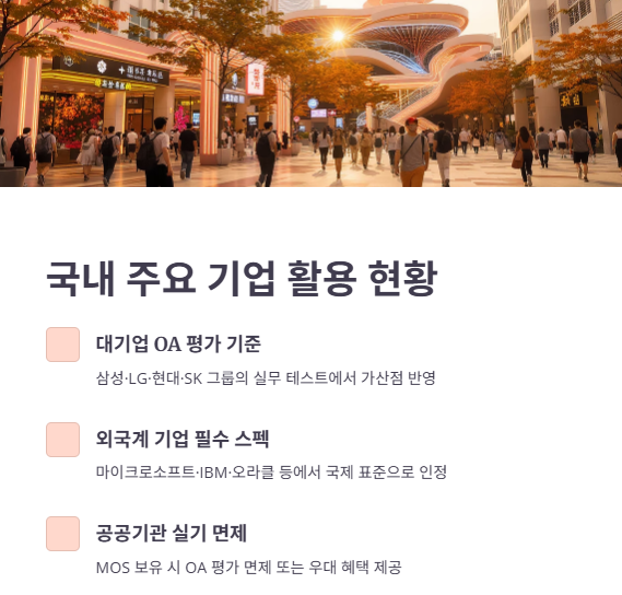 MOS 자격증의 취업 활용도