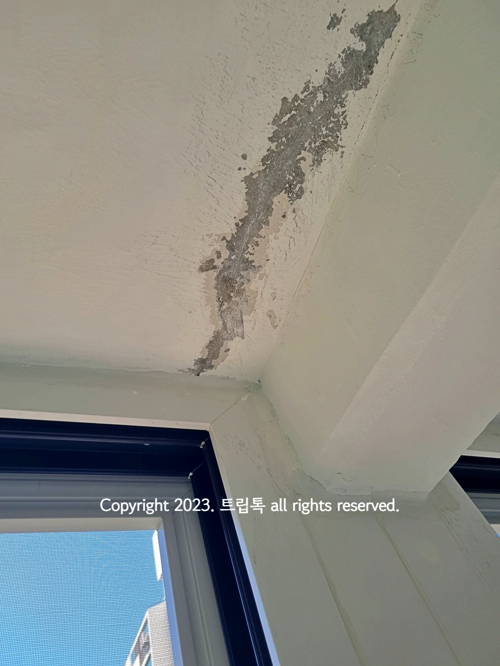 베란다 창 위의 천장 페인트가 벗겨져있다