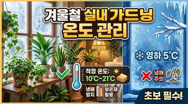 영하의 날씨를 견디는 겨울철 실내 가드닝 온도 관리