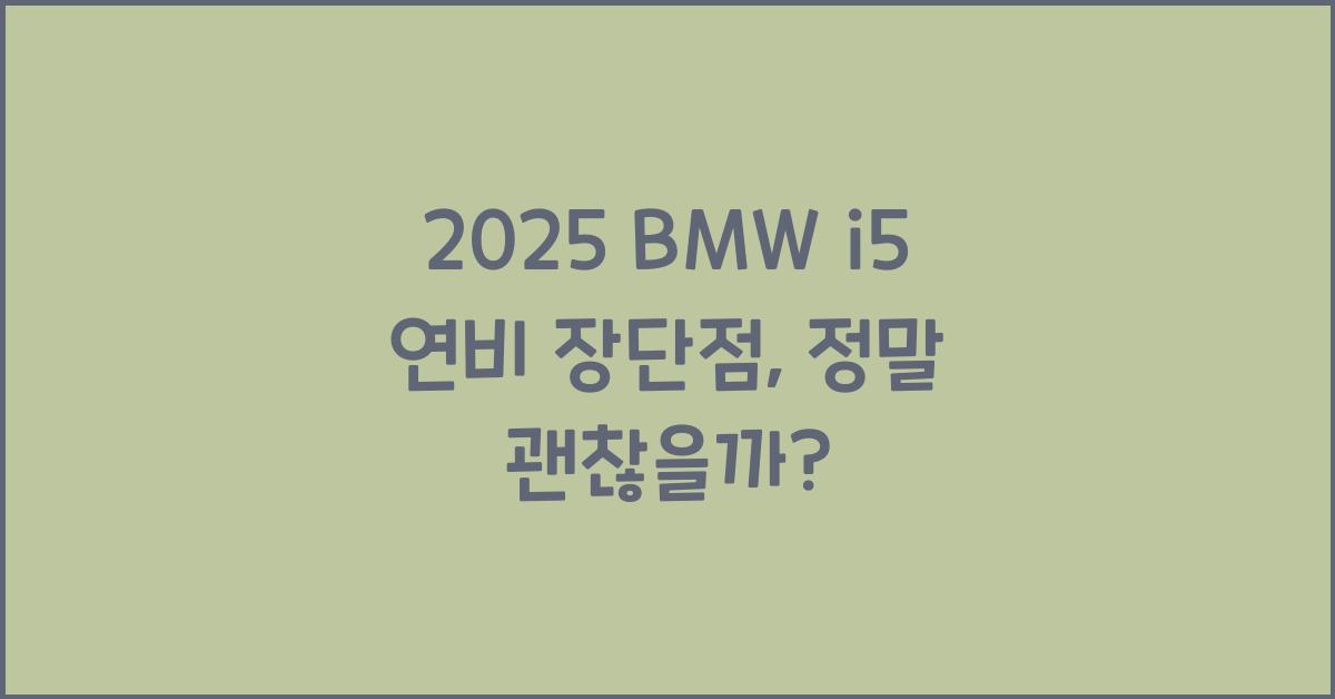 2025 BMW i5 연비 장단점