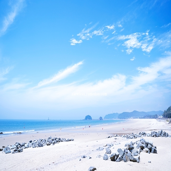 안면도 가볼만한 곳