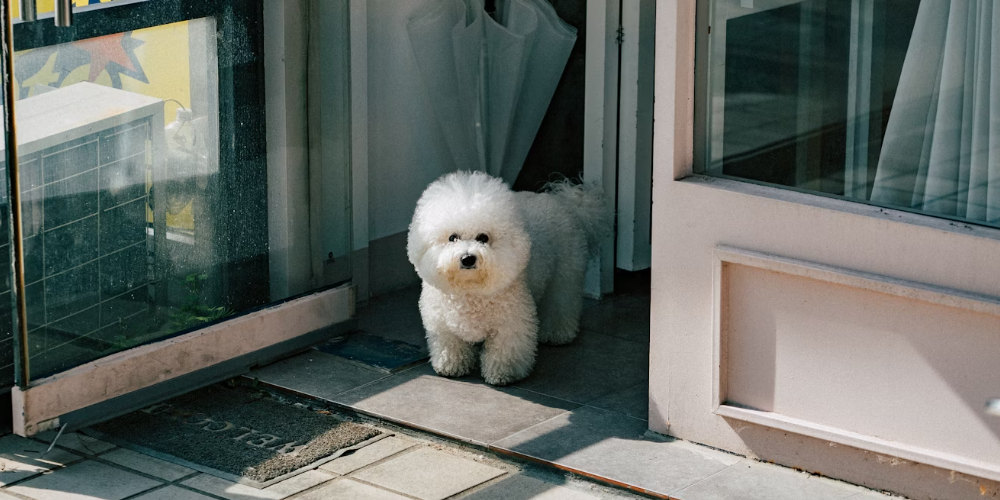 업무상횡령 고소장