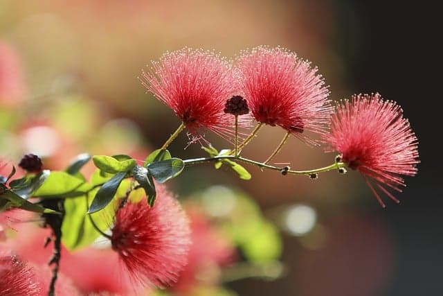 디지털 콘텐츠 큐레이터의 성장 가능성