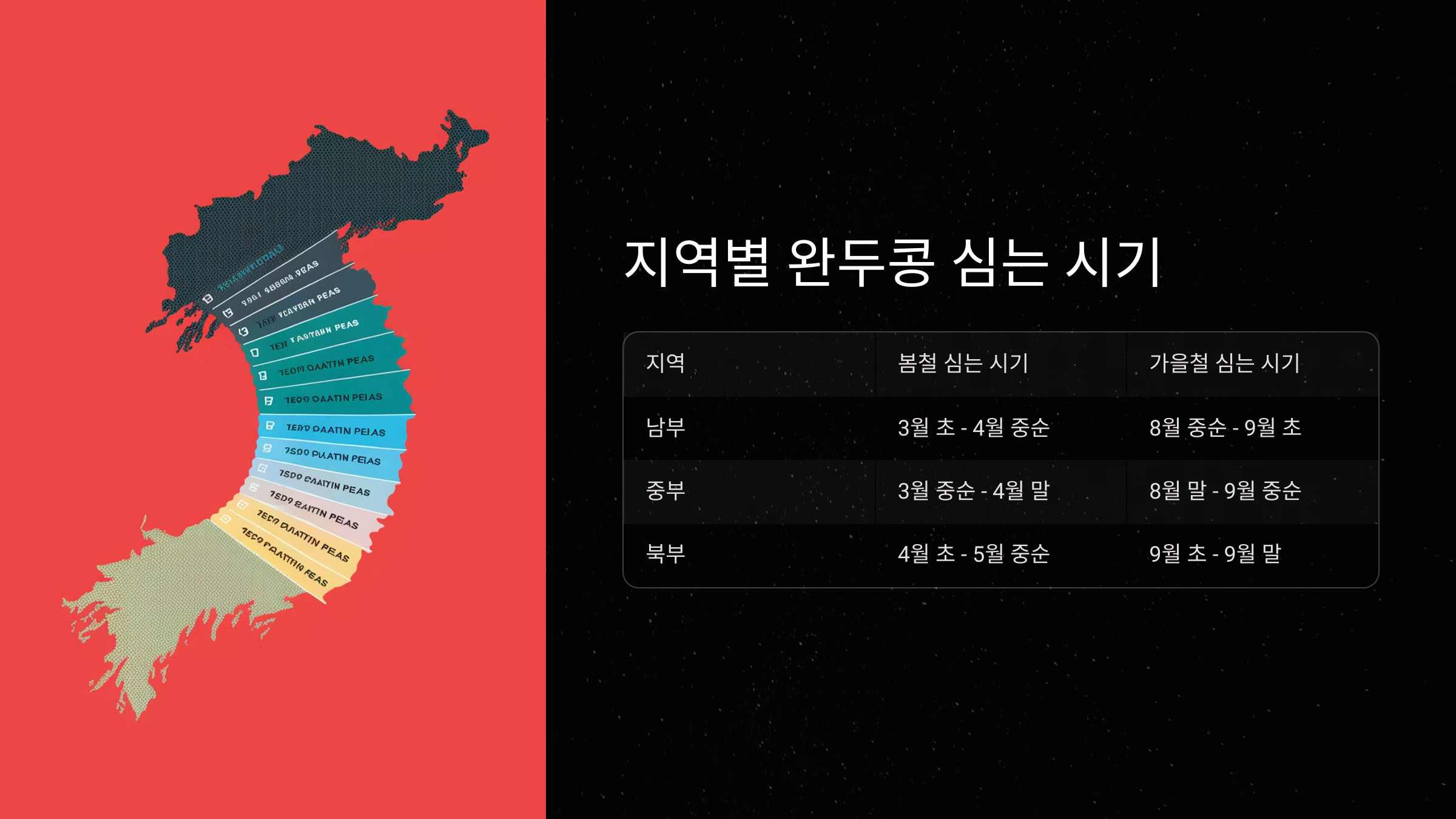 완두콩 심는 시기