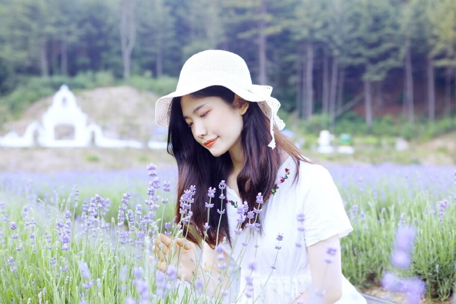 2023 포천 허브아일랜드 라벤더축제 입장료 주차 아이스크림 라떼