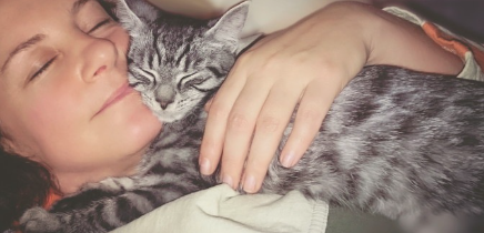 주인에게 안기는 고양이.