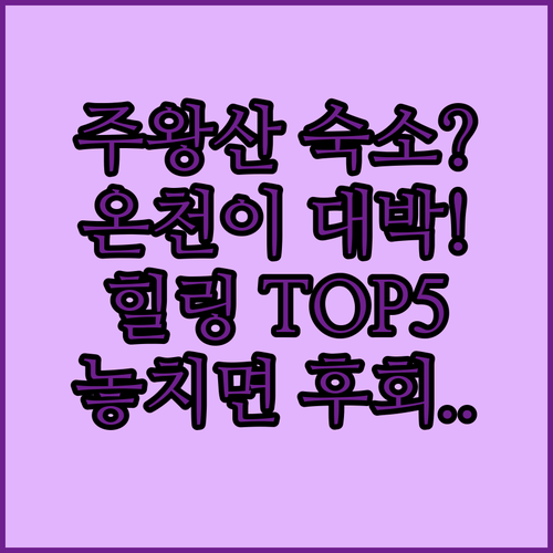 청송 주왕산 숙소 추천 TOP 5 위..