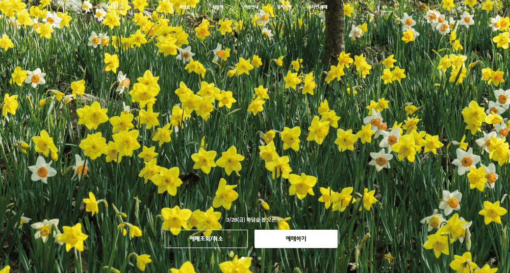 화담숲 벚꽃 예약 바로가기