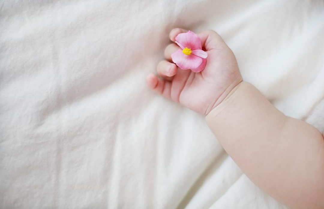 신생아의 손에 꽃 한송이가 쥐어져있다.