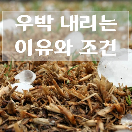 우박이-내리는-이유