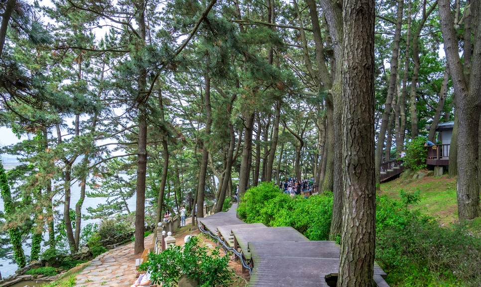 보령 가볼만한곳 (죽도 상화원)