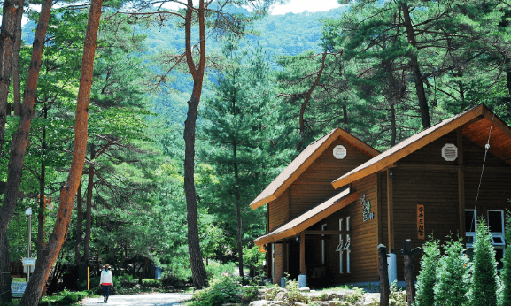 국립자연휴양림 6월부터 2자녀 가구도 최대 30% 감면 혜택