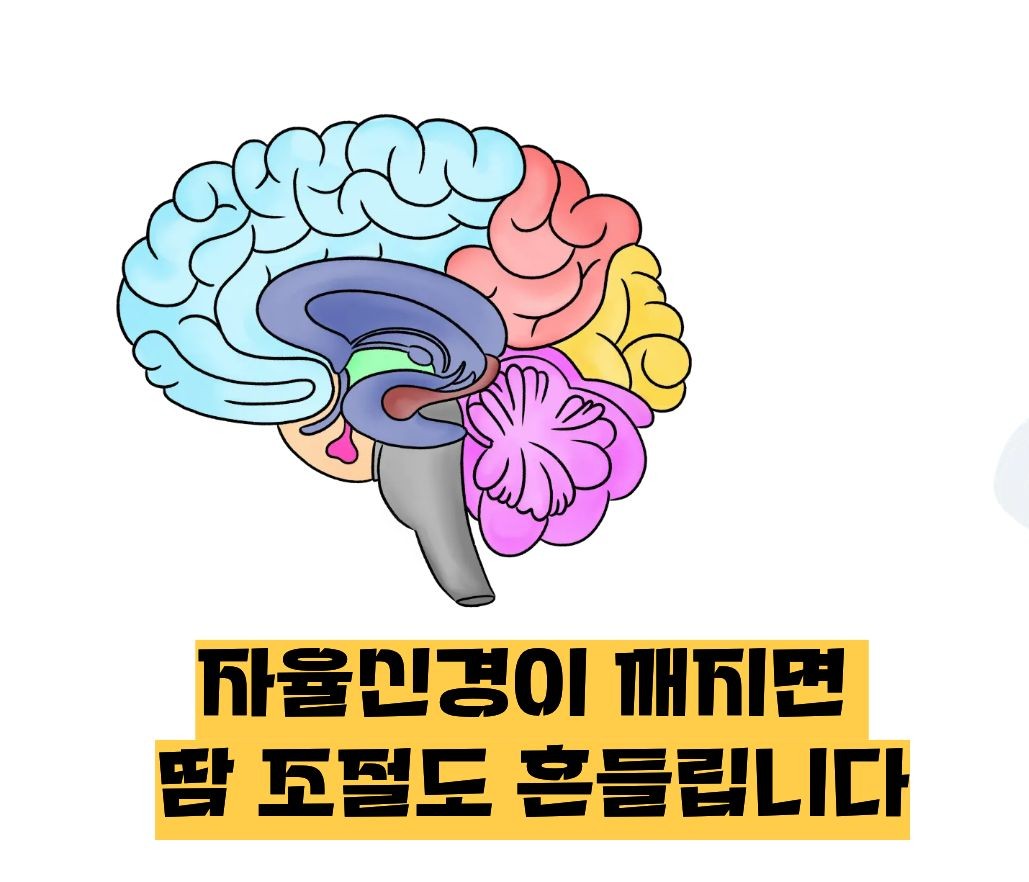 식은땀이 나고 기운이 없음
