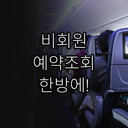 대한항공 앱 설치와 비회원 예약 조회..