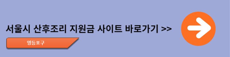 서울시 산후조리 지원금, 신청방법, 기간 및 지원대상 확인