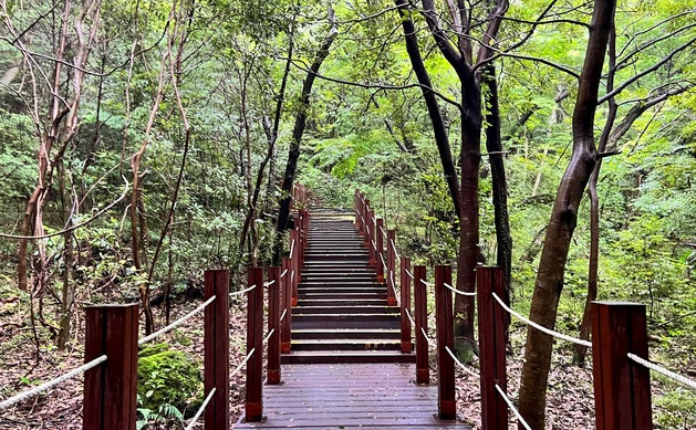 서귀포 자연휴양림 숙소&middot;캠핑장&middot;예약부터 산책코스&middot;주변맛집까지 한눈에!