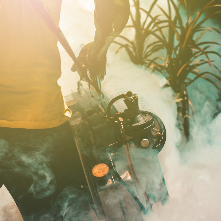 모기 퇴치 꿀팁_6