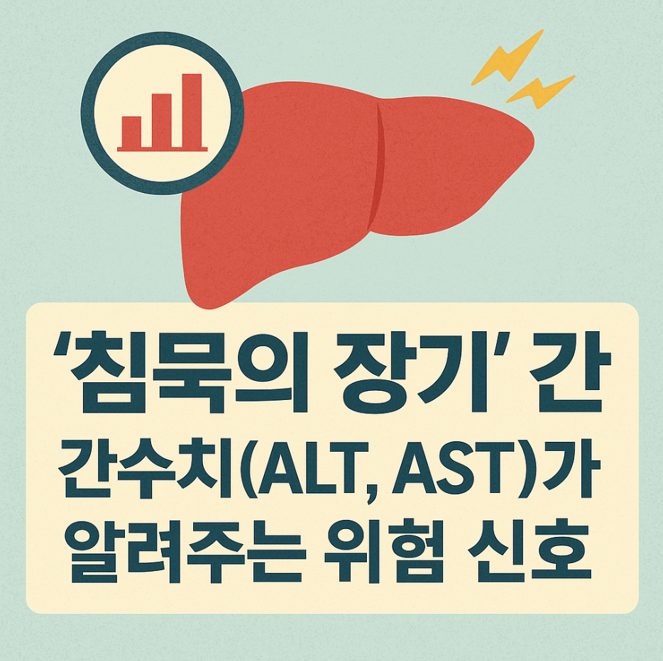 '침묵의 장기' 간, 간수치(ALT, AST)가 알려주는 위험 신호