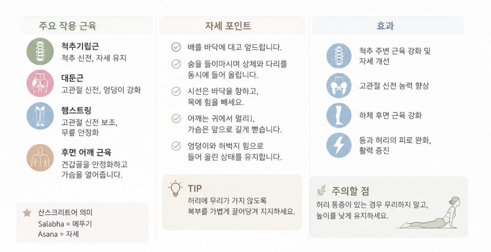 요가 해부학으로 이해하는 살라바아사나(메뚜기 자세): 높이보다 중요한 것은 뒤쪽 몸의 연결이다