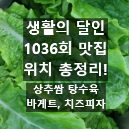 생활의 달인