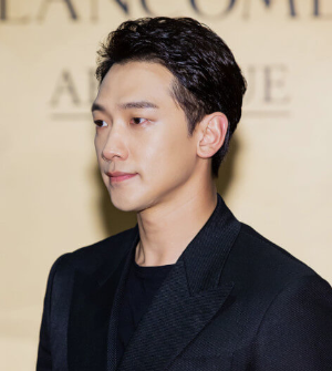 가수 비
