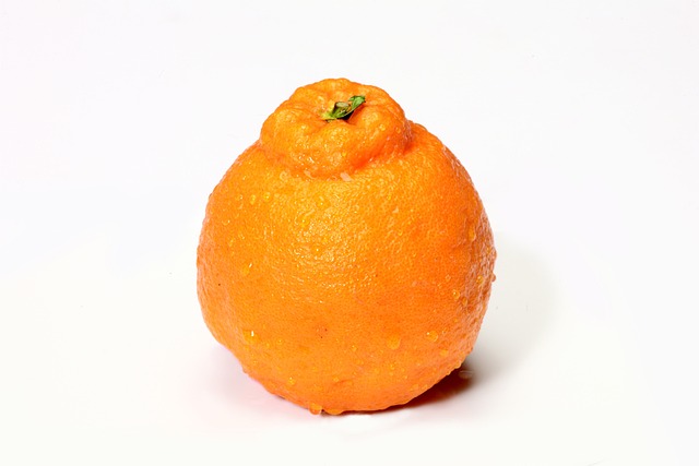 한라봉 한개