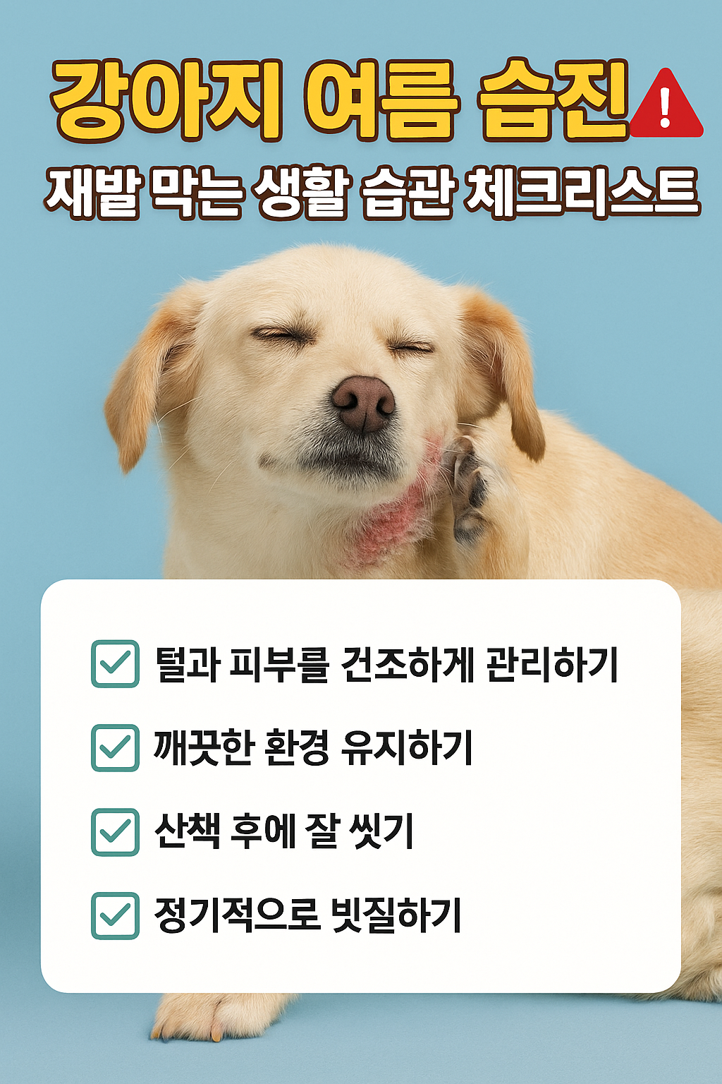 강아지 여름 습진