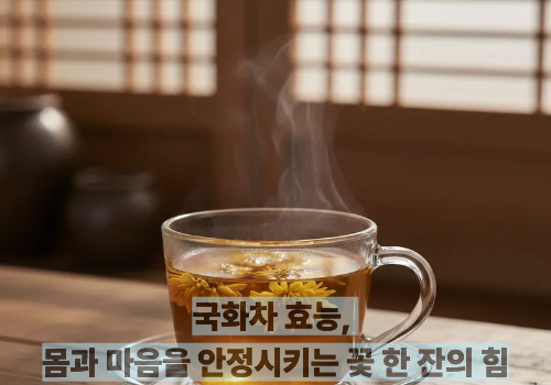 국화차 효능, 몸과 마음을 안정시키는 꽃 한 잔의 힘