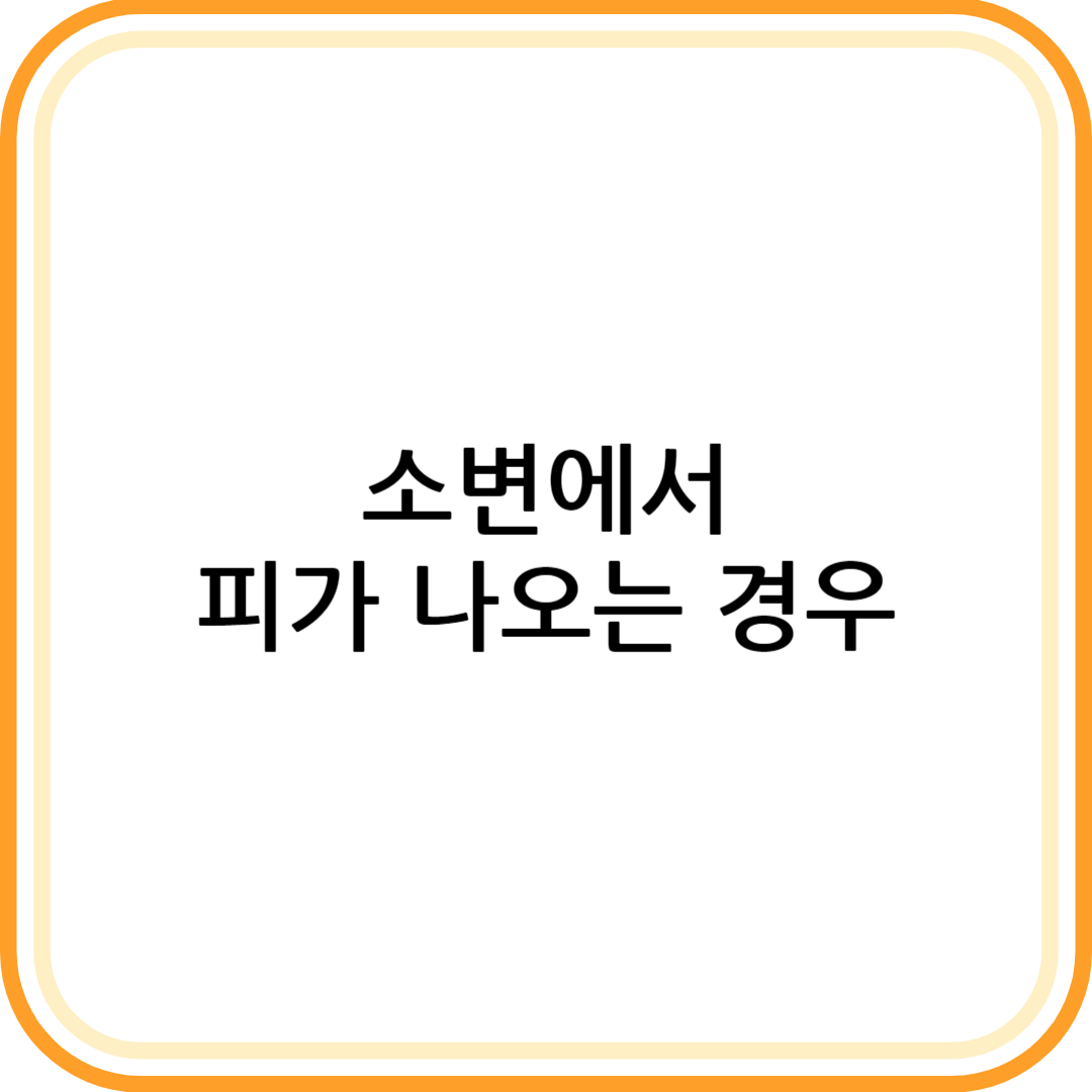 소변에서 피가 나오는 경우