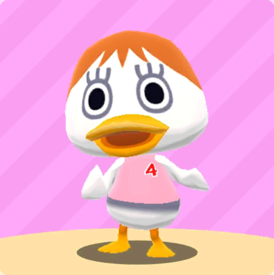 동물의숲: 포켓캠프 주디