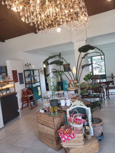 모몽 더 티하우스