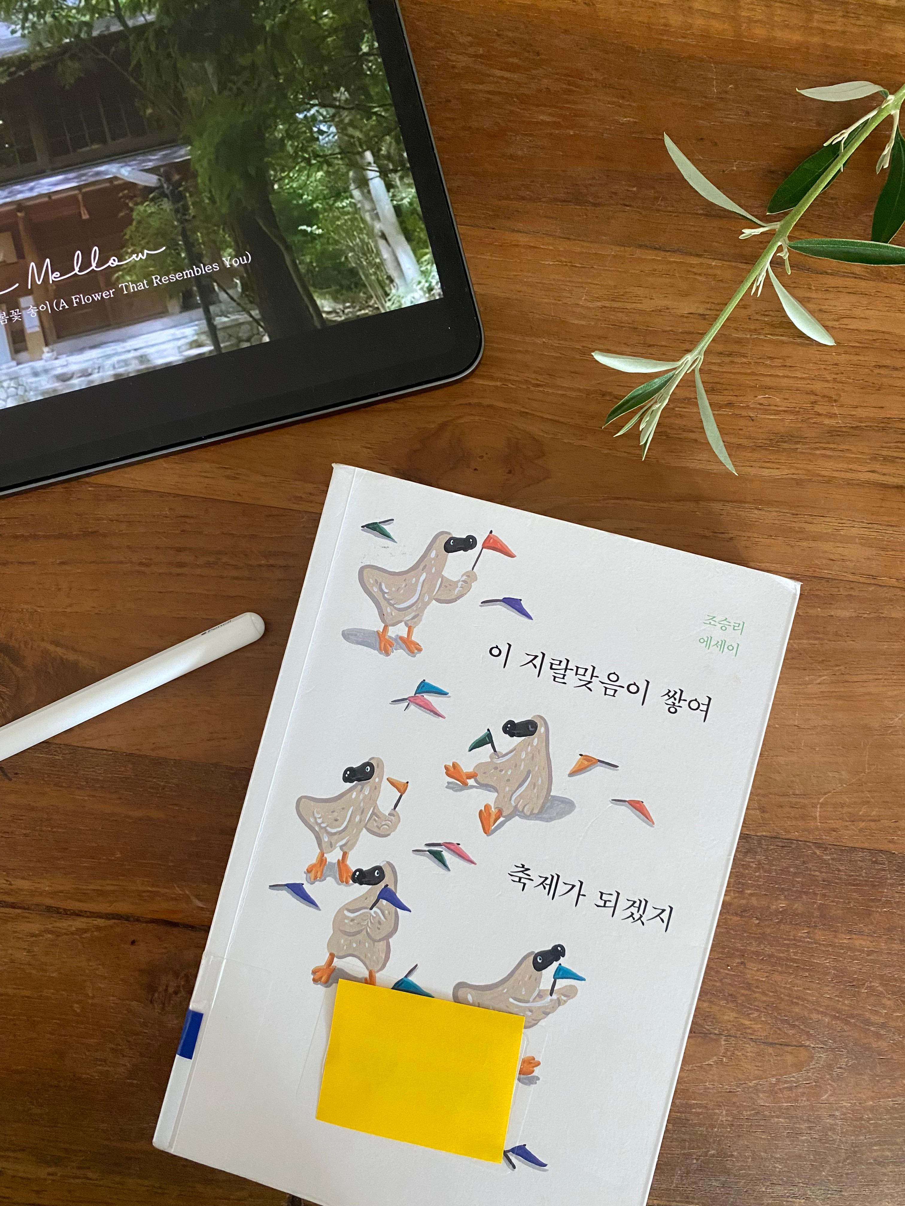 조승리 이 지랄맞음이 쌓여 축제가 되겠지