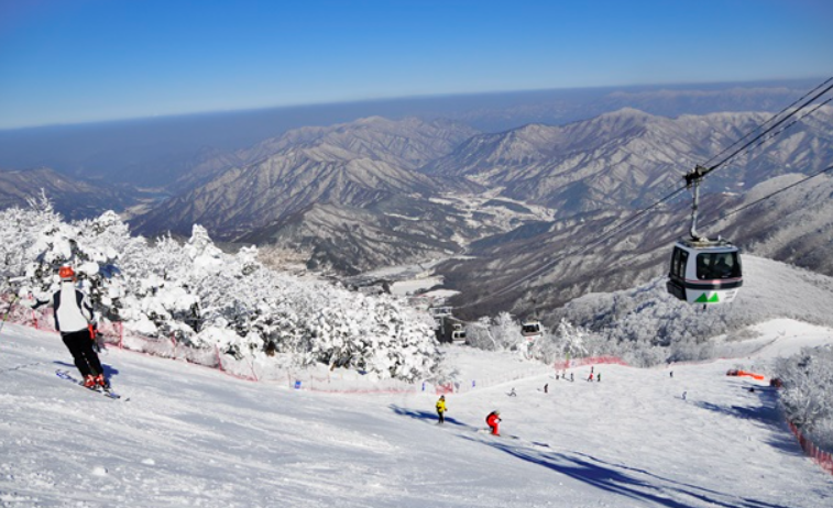 스키장 개장일정