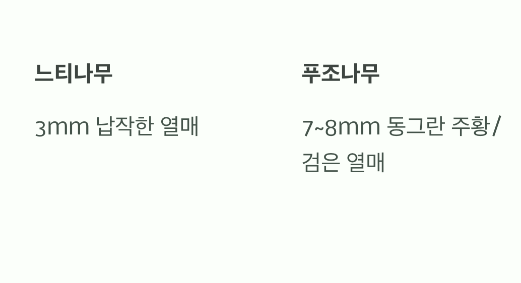 세 번째 단서, 가을이 주는 선물 '열매'