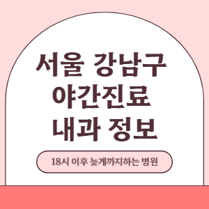 서울 강남구 야간진료 내과 병원 (18시 이후 늦게까지하는 병원)