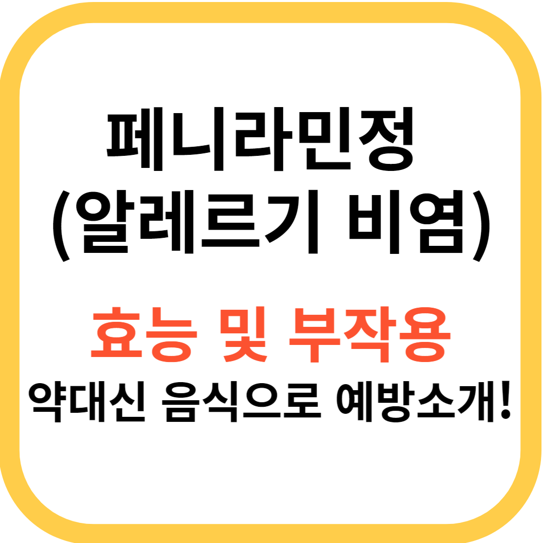 페니라민정 소개