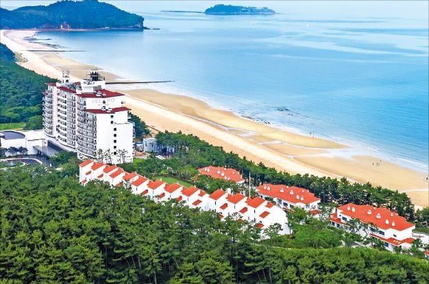 전국 대표 휴양지, 리조트 추천 모음