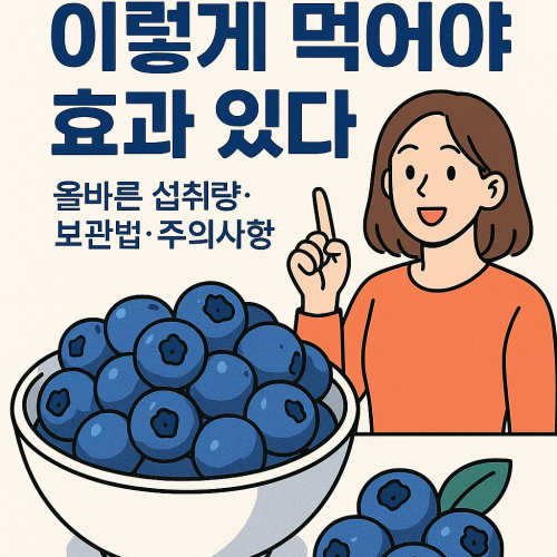 블루베리 효능 썸네일